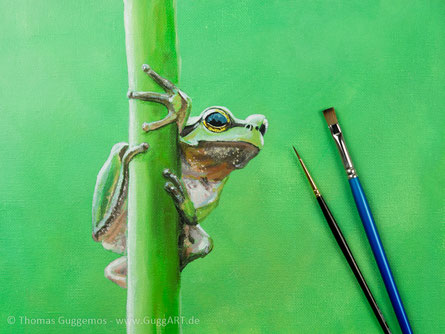 Frosch malen mit Acryl - Realistisch malen mit Acrylfarben