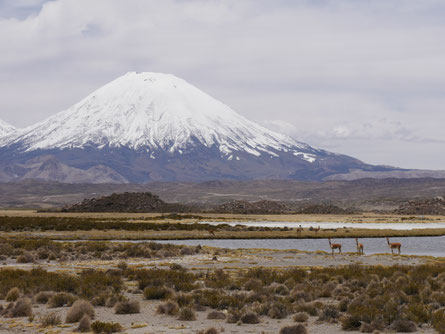 Lauca Nationalpark Chile