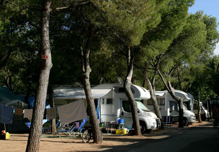 Adria Campeggio Villaggio Il Pione
