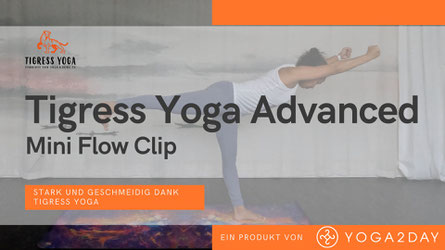 Tigress Yoga, die Symbiose von Power Vinyasa Yoga &  Kung Fu. Ideal für sportliche Anfänger. Yoga Ausbildungen & Weiterbildungen für Yogalehrer, Physiotherapeuten & Sportprofis. In Zürich Oerlikon.