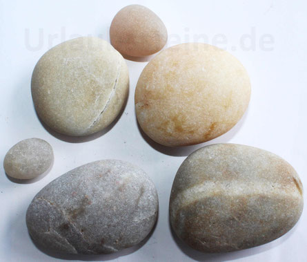 Quartzsteine, geschliffen vom Meer (Nordsee).