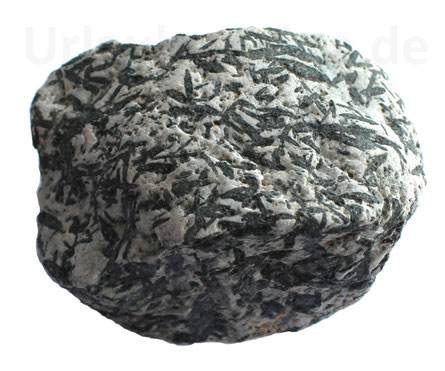 Hornblende mit den klassischen länglichen Kristallen.