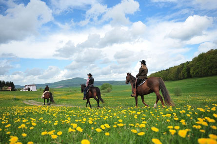 Ein Ausritt an der Stockbornranch Bernshausen gehörte ebenfalls zum Programm