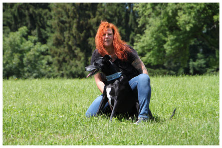 Hundetrainer und Hund,  Hundeverhaltensberatung, Verhaltenstherpie, Einzeltraining, Rems-Murr-Kreis