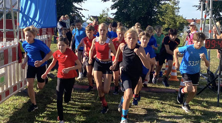 Start des 3000-Meter-Laufs mit Hasan Aljic (2. von rechts). Fotos: Falk Heidel/Alpha-Report