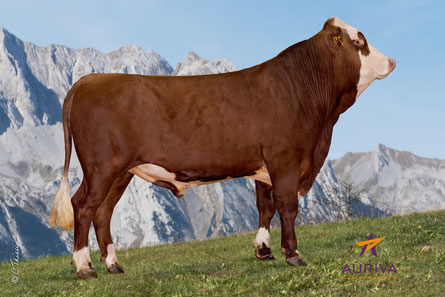 OTIGNY      FR 7402747096    - photo AURIVA