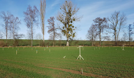 Baugespann Ansicht von Westen am 24. Jan. 2018