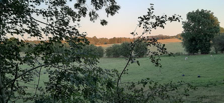 Photo du bocage de Thiérache