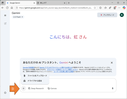 Gemini 起動直後の画面：手順３