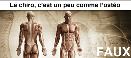 chiropraxie vs ostéopathie