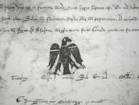 Arrano Beltza