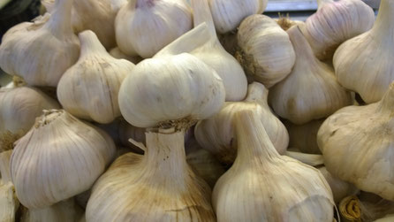 Knoblauch,Alho,Garlic,Gemüse,Legumes,Vegetables,Martins-Kulinarium,Carvoeiro,Algarve,Portugal