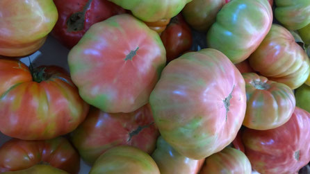 Tomates,Tomatoes,Gemüse,Legumes,Vegetables,Martins-Kulinarium,Carvoeiro,Algarve,Portugal