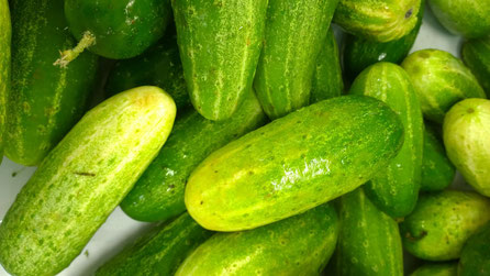 Gurken,Pepinos,Cucumbers,Gemüse,Legumes,Vegetables,Martins-Kulinarium,Carvoeiro,Algarve,Portugal