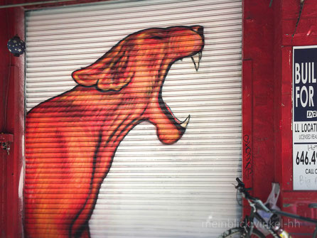 Graffiti New York Streetart Straßenkünstler Gragentor Tor Löwe Löwin