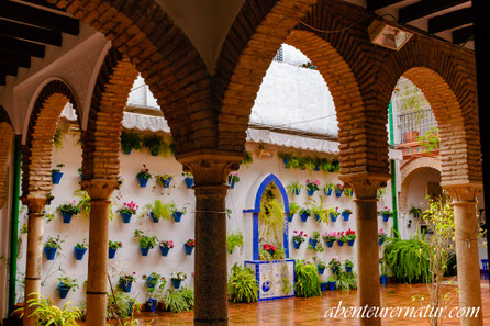 Innenhof einer kleinen Galerie- Cordoba