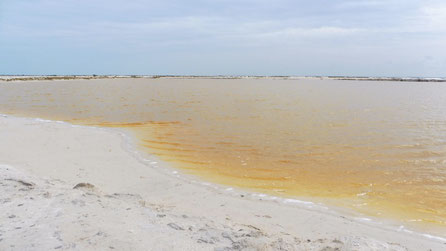 The Yellow Lake
