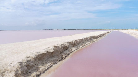The Pink Lake at Las Coloradas