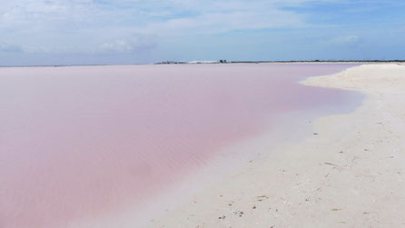The Pink Lake at Las Coloradas