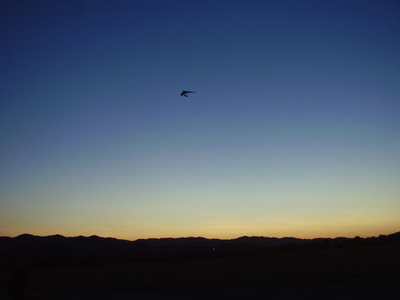 Abendflug Monte Cucco