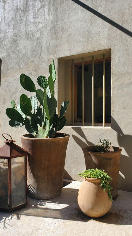 Rénovation, extension et surélévation d'une maison à Aix-en-Provence. Terrasse extérieure, poteries, cactus.