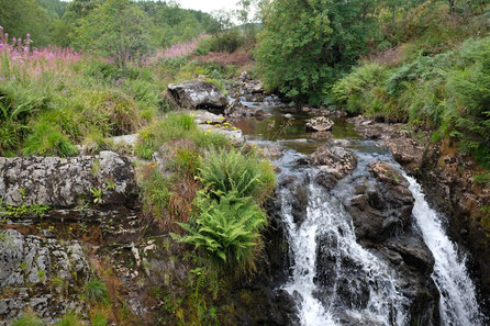 Near the start of walk: The Severn-Break-Its-Neck Falls