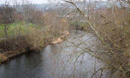 The River Severn at Newtown
