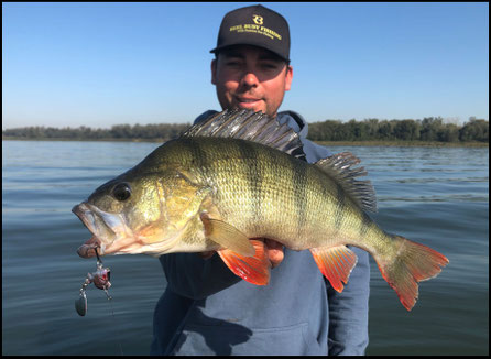Barsche angeln mit dem Jig Spinner - The Punk von Reel Busy Fishing