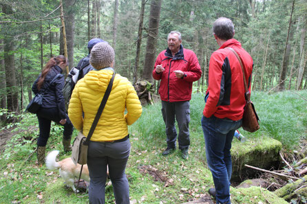 Josef Schieder (Zweiter von rechts) aus Leuchtenberg ist im Lerautal sozusagen zu Hause. Zusammen mit Wolfgang Winter (rechts) führte er die AG Artenkenntnis bis zur malerischen Wilfslohklamm. Bild: GW