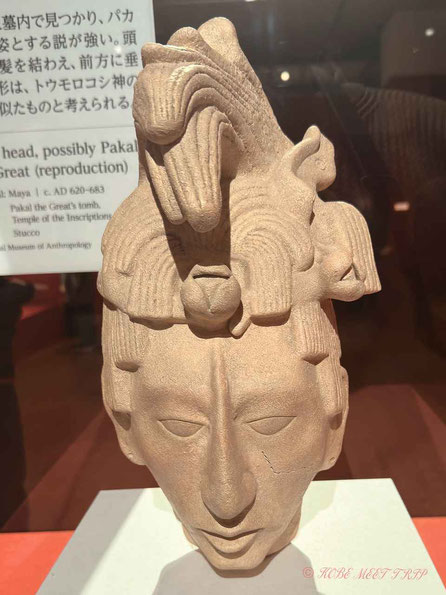 パカル王とみられる男性頭像（複製）　原品：マヤ文明　620～683年頃　パレンケ、碑文の神殿、パカル王墓出土　漆喰　メキシコ国立人類学博物館