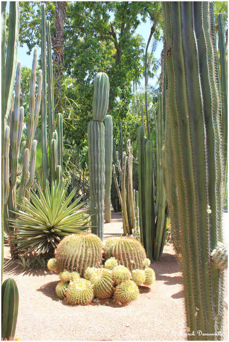 Maroc camping-car fourgon photo Franck Dassonville