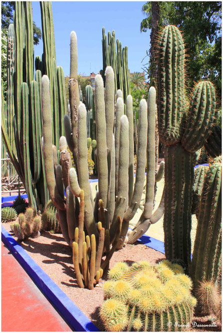 Maroc camping-car fourgon photo Franck Dassonville