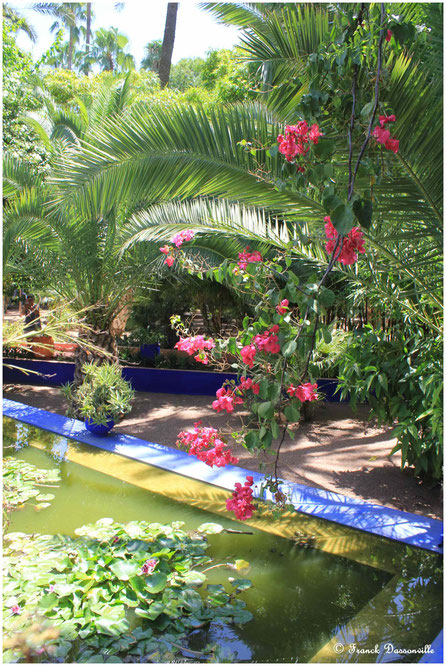 Maroc camping-car fourgon photo Franck Dassonville