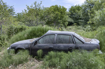 Von Schachtelhalmen überwuchertes Auto, Blog von Irene Kernthaler-Moser