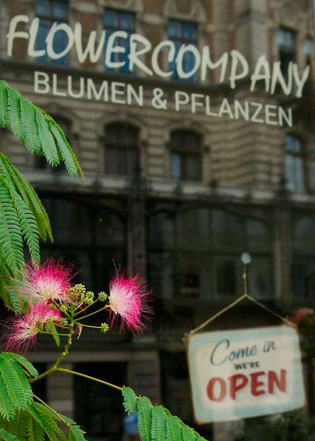 flower shop vienna