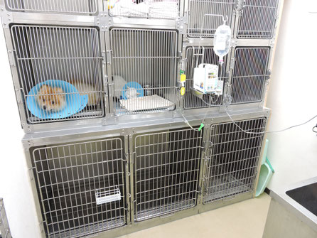 犬・猫のペットホテル