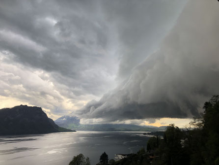 Berufscoaching Luzern und Online