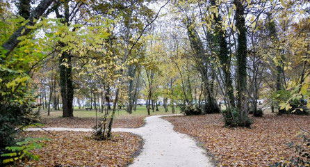 Bois du Menespey à Haillan