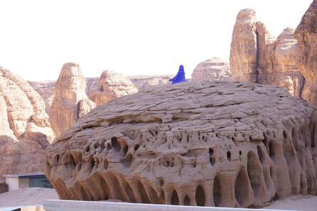 Our Habitas Alula