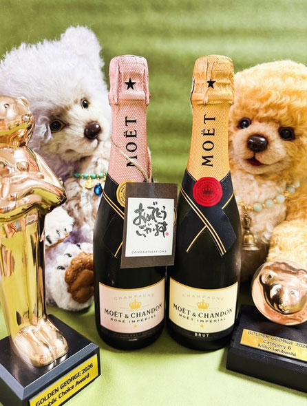 ✩Nさま✩より美味しそうなシャンパンをいただきました！勝利の美酒を味わいます！本当にありがとうございます！