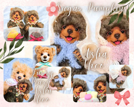 SugarPumpkins TOP - Sugar Pumpkins テディベア オリジナル