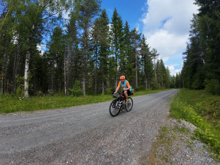 Gravel Bikepacking in Schweden bei Kloten auf Schotterstraße durch dichten Nadelwald unter blauem Himmel.