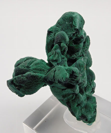 Botroidal Malachite