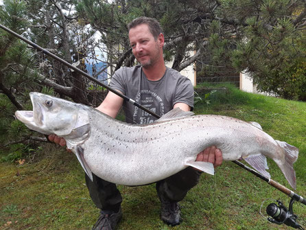 Mitte Oktober 2019 aus der Gail gefangen wurde dieser Huchen (113 - 15kg) von Gerald Krieber.