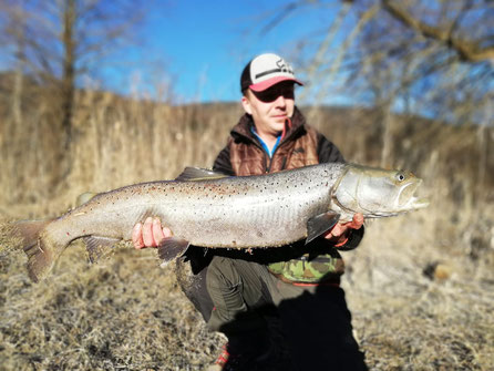 Robert Vellacher mit seinem Huchen (102cm/9,7kg. Gefangen am 11. 1. 2019 im Lauenbach.