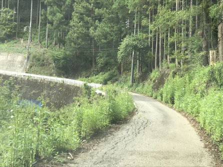 石鴨地区に向かう峠道1