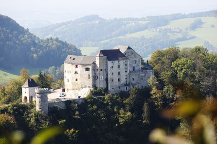 c.Schwarz-König
