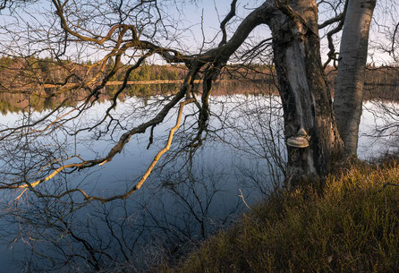 Novy Rybnik iso50 | f11 | 14mm | 1/20sec.