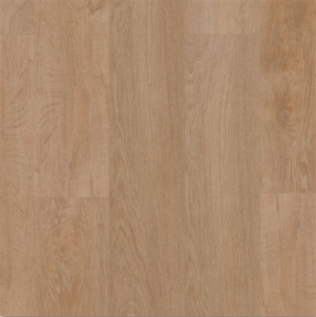 VIRAG EVOLUTION TACK DRY PLUS 