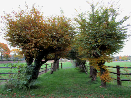 seasons